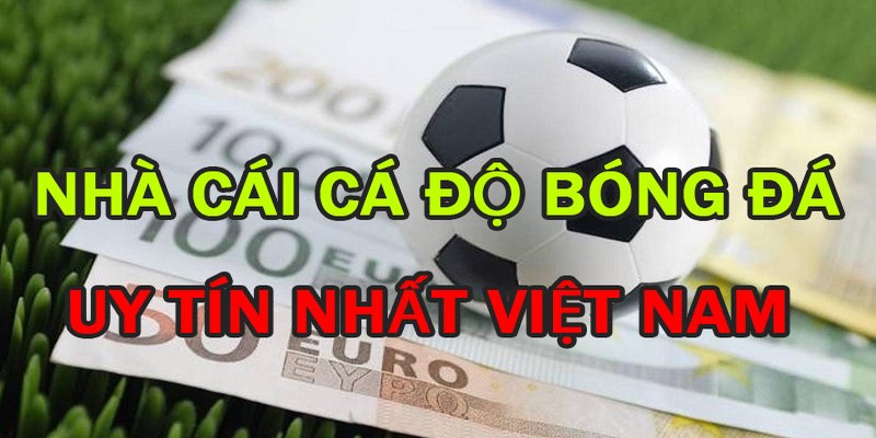 Top 4 trang cá độ bóng đá uy tín nhất Việt Nam anh em nên biết